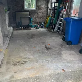 Bild von The Van Man Scotland