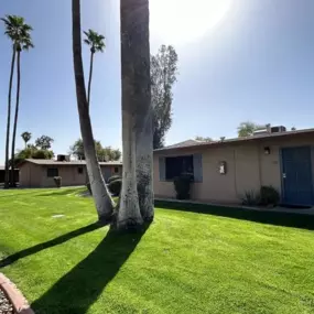 A house with a blue door is surrounded by green grass and palm trees.