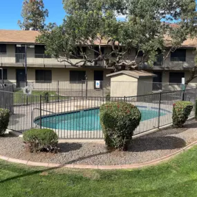 A pool surrounded by bushes and a building in the background.