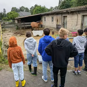 Bild von Hof Mindrup