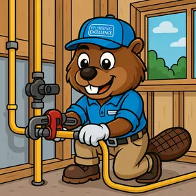 Bild von Buddy’s Plumbing Excellence
