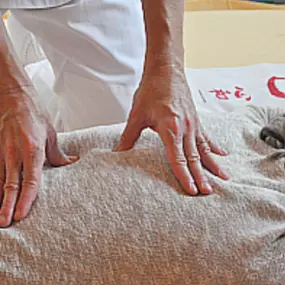 Bild von Kirsten Hesse Praxis für Shiatsu