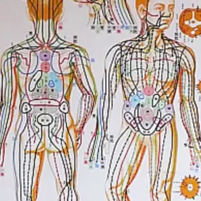 Bild von Kirsten Hesse Praxis für Shiatsu