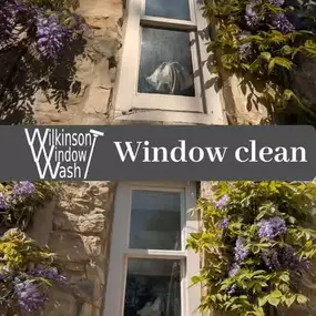 Bild von Wilkinson Window Wash