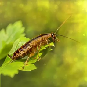 Bild von Michel Immobilienservice GmbH