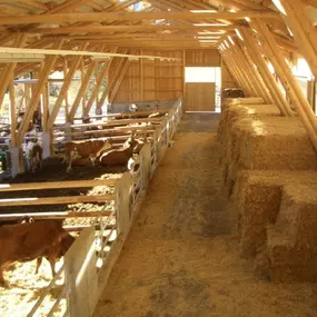 Bild von Gerhard Feldgrill