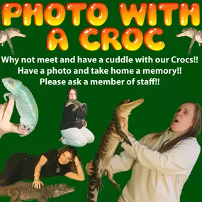 Bild von Reptile Zone