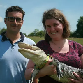 Bild von Reptile Zone
