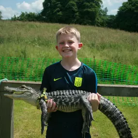 Bild von Reptile Zone