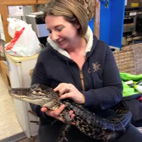 Bild von Reptile Zone