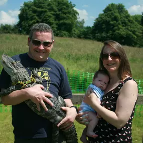 Bild von Reptile Zone