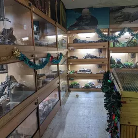 Bild von Reptile Zone