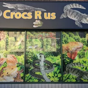 Bild von Reptile Zone