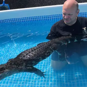 Bild von Reptile Zone