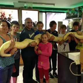 Bild von Reptile Zone