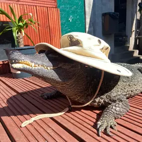 Bild von Reptile Zone