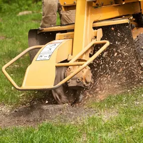 A yellow stump grinder rapidly chips away at a tree stump, spraying wood fragments and dust across a grassy area. A person's legs are visible in the background.