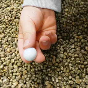 Bild von Lernwerk Ergotherapie Celle