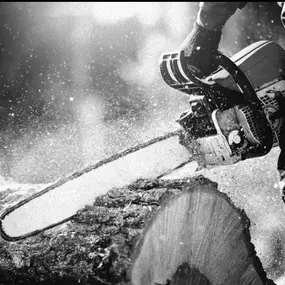 Bild von Arbortek Technical Tree Services