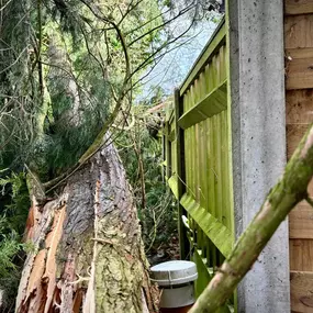 Bild von Arbortek Technical Tree Services