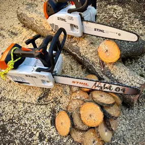 Bild von Arbortek Technical Tree Services