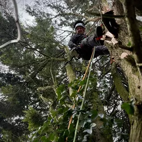 Bild von Arbortek Technical Tree Services