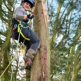Bild von Arbortek Technical Tree Services