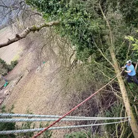 Bild von Arbortek Technical Tree Services