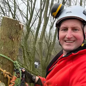 Bild von Arbortek Technical Tree Services