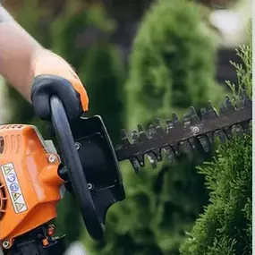 Bild von Arbortek Technical Tree Services