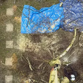 Bild von Arbortek Technical Tree Services