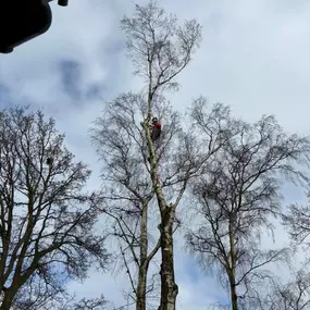 Bild von Arbortek Technical Tree Services