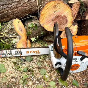 Bild von Arbortek Technical Tree Services