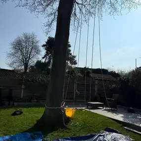 Bild von Arbortek Technical Tree Services