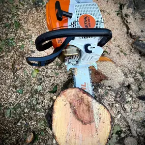 Bild von Arbortek Technical Tree Services