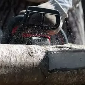 Bild von Arbortek Technical Tree Services