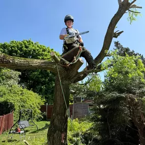 Bild von Arbortek Technical Tree Services