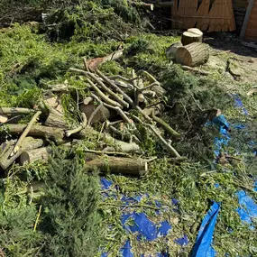 Bild von Arbortek Technical Tree Services