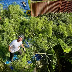 Bild von Arbortek Technical Tree Services