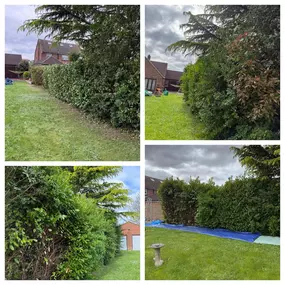 Bild von Arbortek Technical Tree Services