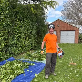 Bild von Arbortek Technical Tree Services