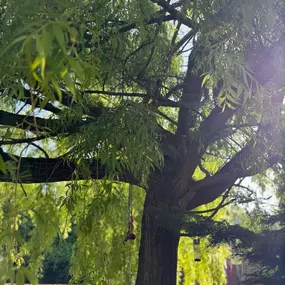 Bild von Arbortek Technical Tree Services