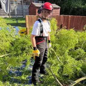 Bild von Arbortek Technical Tree Services
