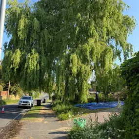 Bild von Arbortek Technical Tree Services