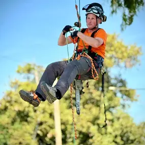 Bild von Arbortek Technical Tree Services