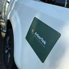Bild von Arbortek Technical Tree Services