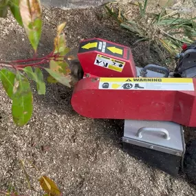 Bild von Arbortek Technical Tree Services