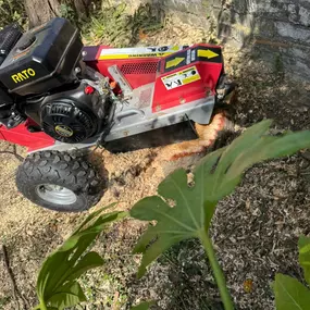 Bild von Arbortek Technical Tree Services