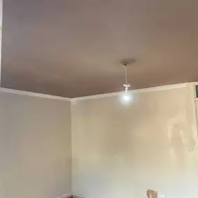 Bild von Pristine Plastering and Damp Proofing Ltd