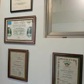 305185498-1-hzokDkQaZL1751402340405.jpeg